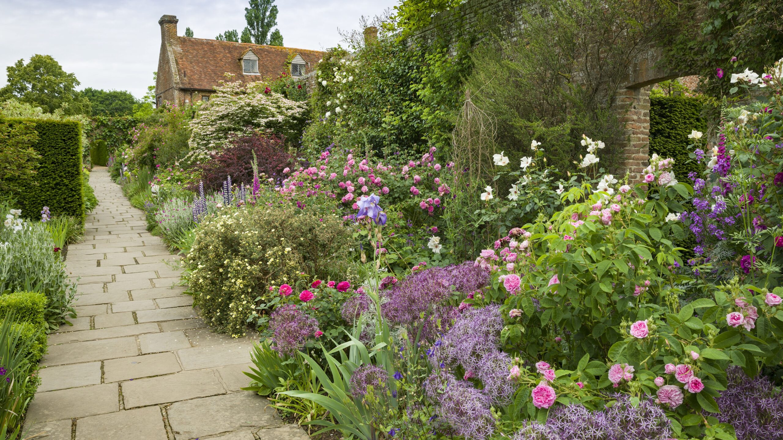 Landscaping With Roses 9 Expert Ways To Use Them Gardeningetc