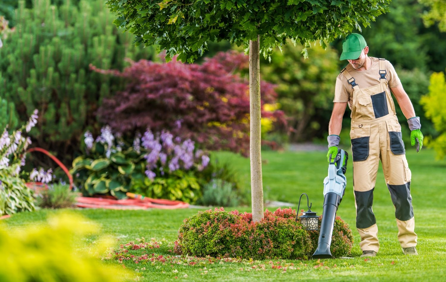 Lawn And Landscape Business For Sale In Lee County Truforte Business Group