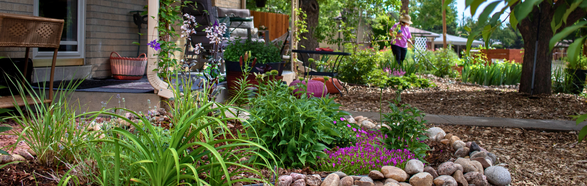 Lawn Replacement Program Resource Central
