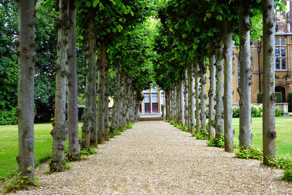 how to create sustainable landscapes