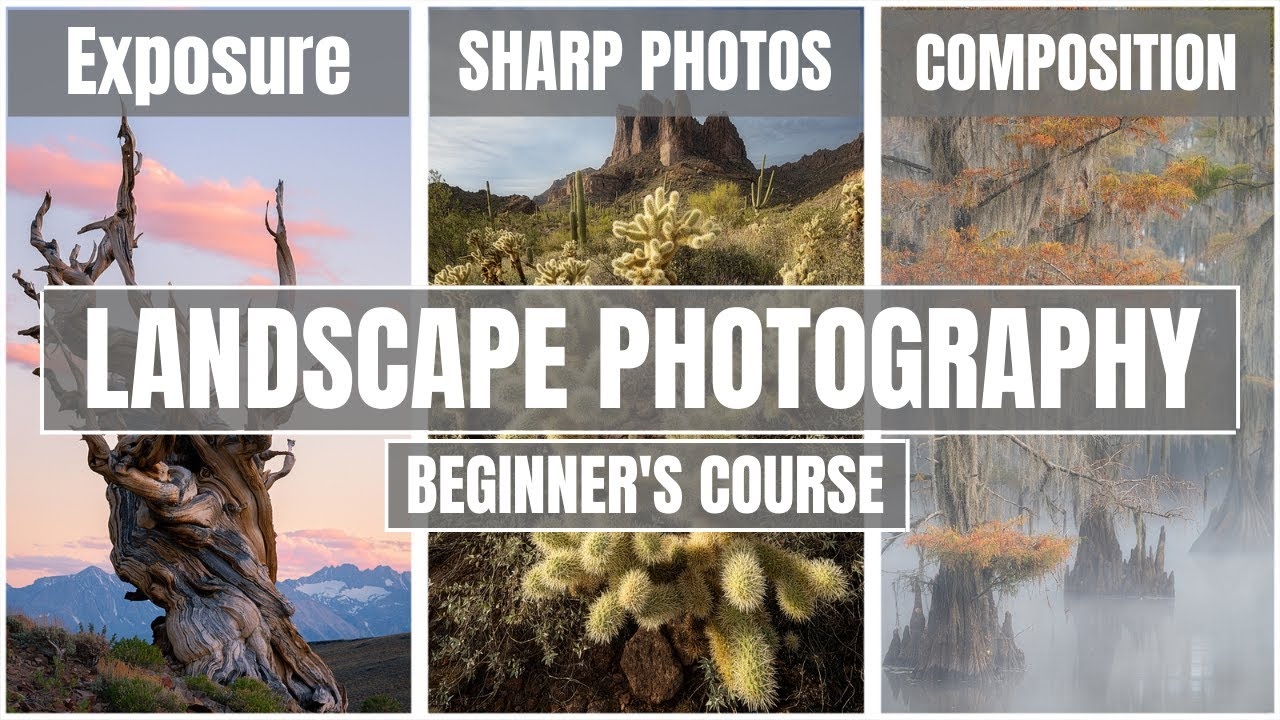 Learn Landscape Photography In 10 Minutes Absolute Beginner s Guide YouTube