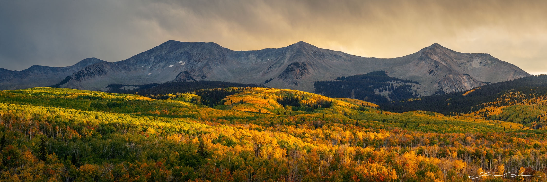 Limited Edition Photography Gallery Gintchin Fine Art