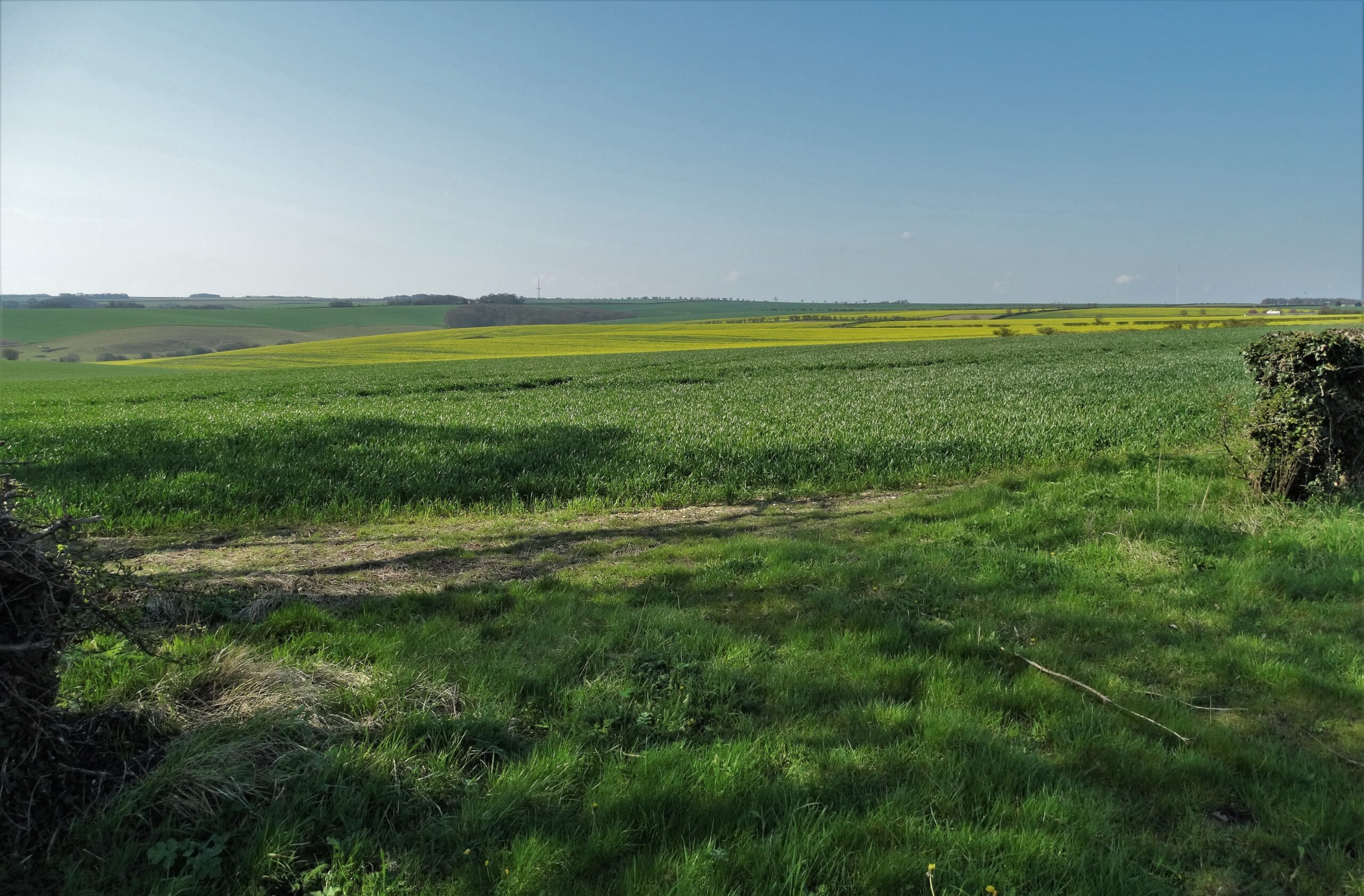 Lincolnshire Wolds Wikipedia