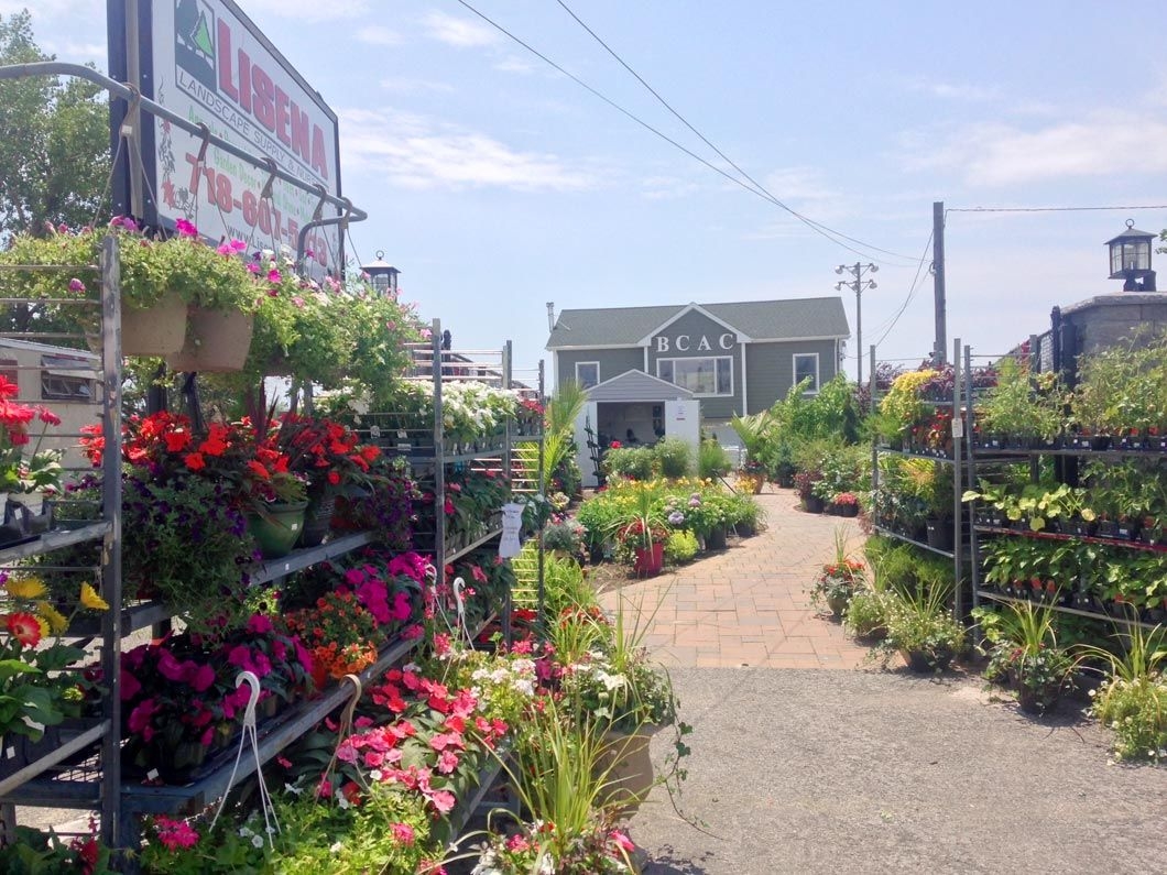Lisena Your One stop Shop For All Things Gardening Qchron Lisena Your One stop Shop For All Things Gardening Qchron
