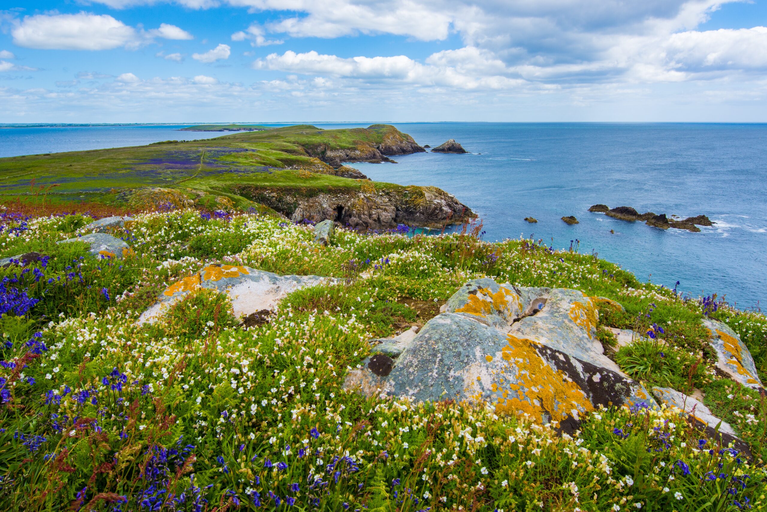 landscapers in ireland