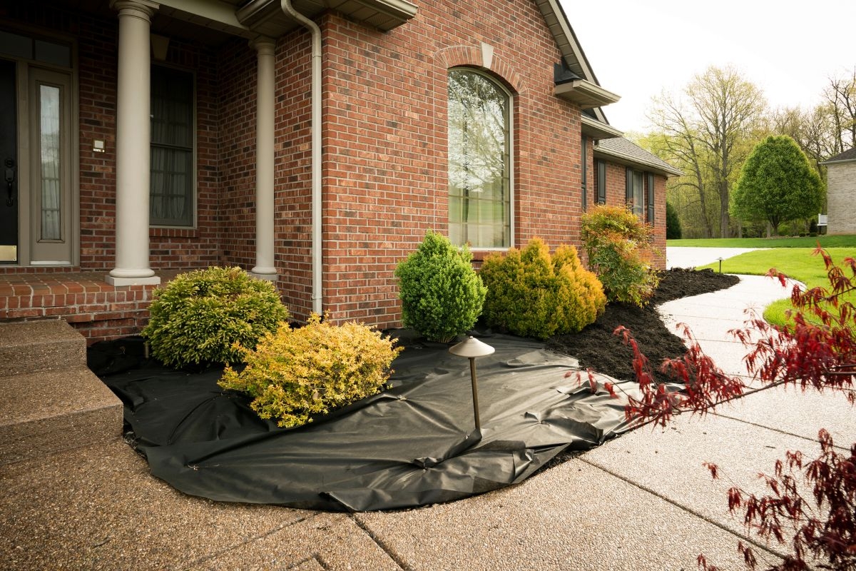 Low Maintenance Landscaping Ideas