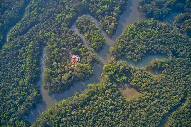 Lower Gangetic Plains Moist Deciduous Forests Wikipedia