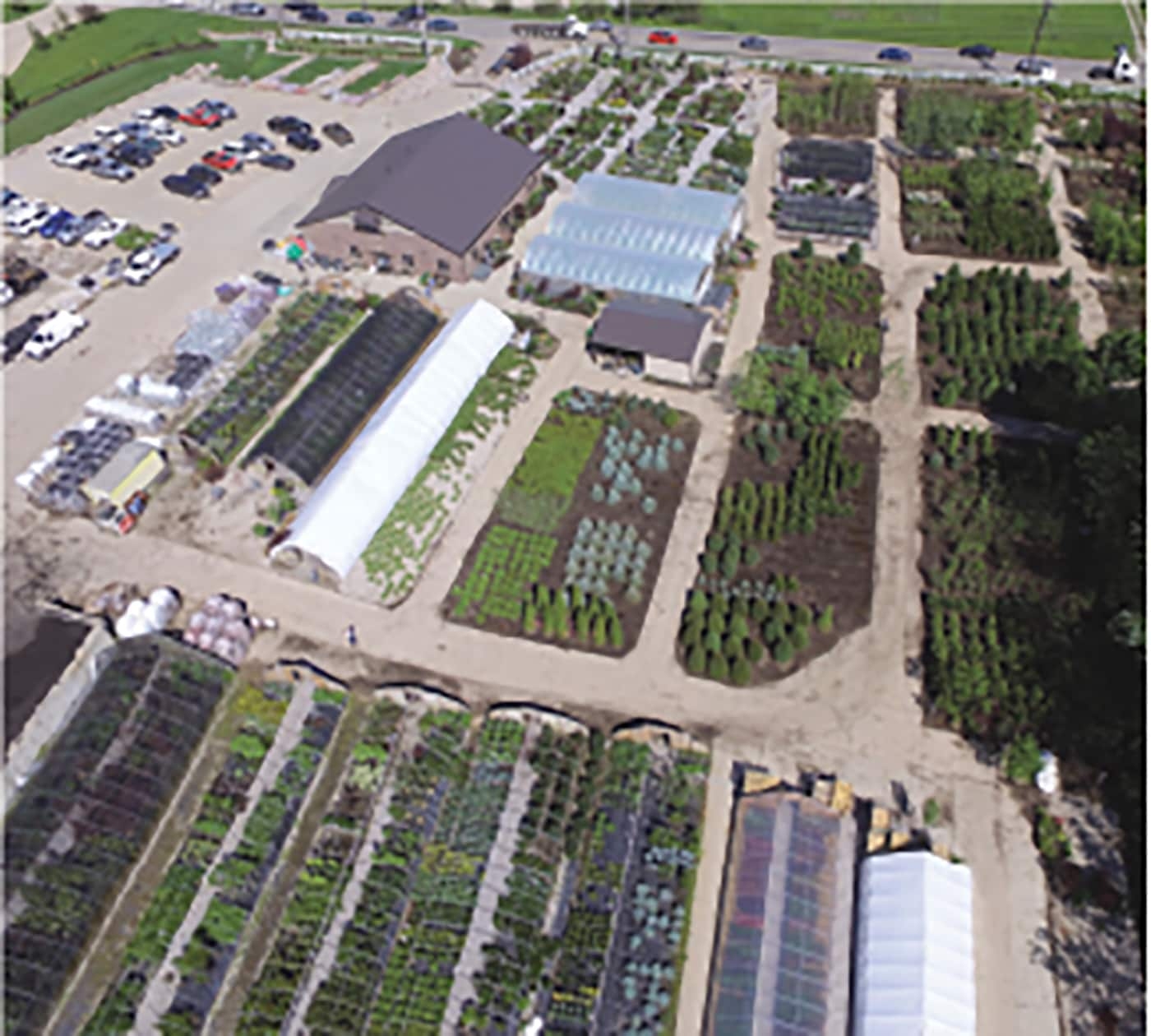 Maddox Garden Center Landscaping Coupons Deals Florence KY Maddox Garden Center Landscaping Coupons Deals Florence KY