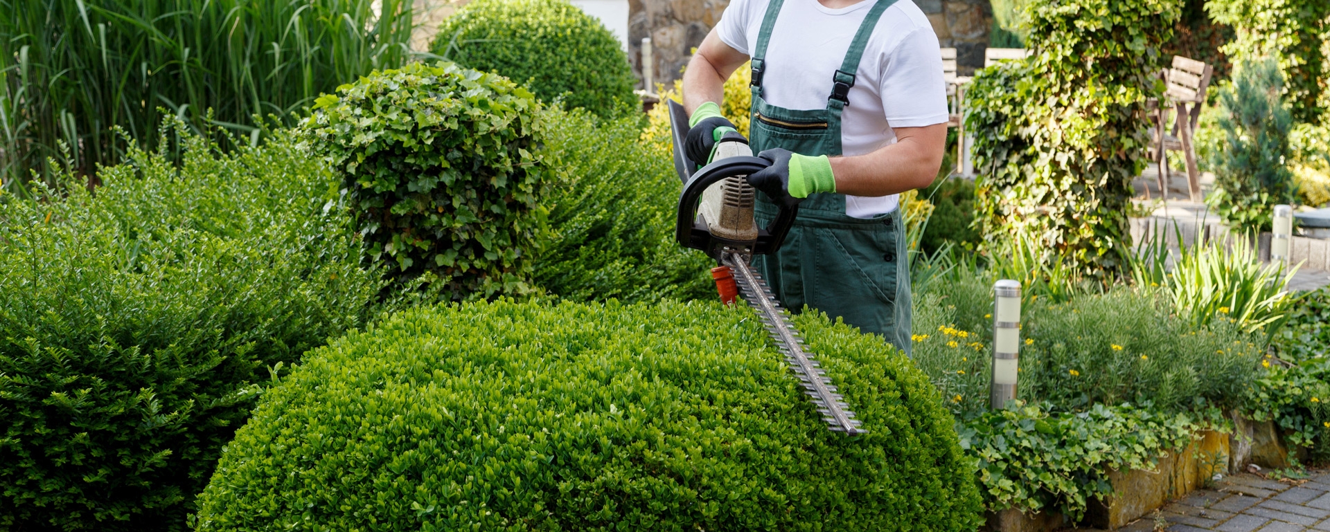 garden services and landscaping
