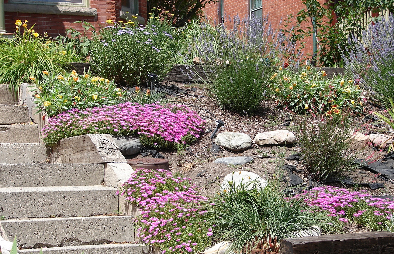 Master Gardener Series Sustainable Landscape Design Online Course OSU Continuing Education