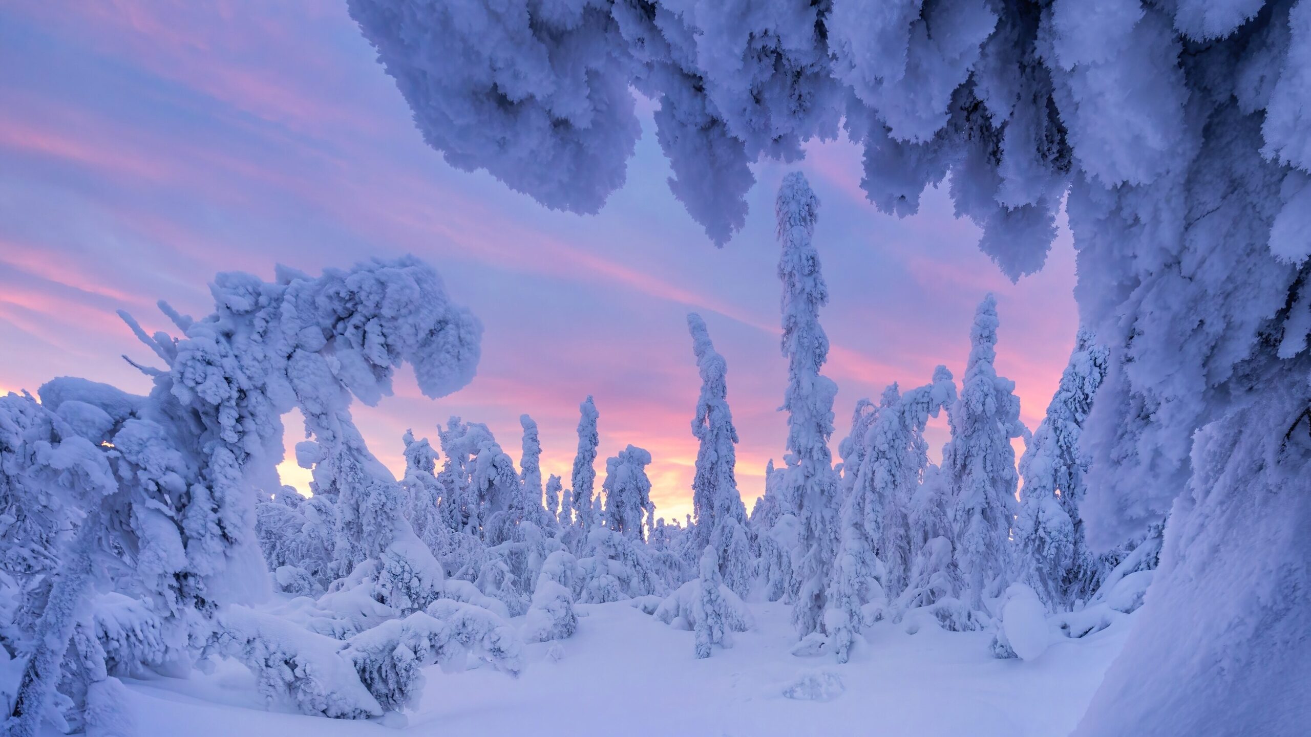 landscape with snow