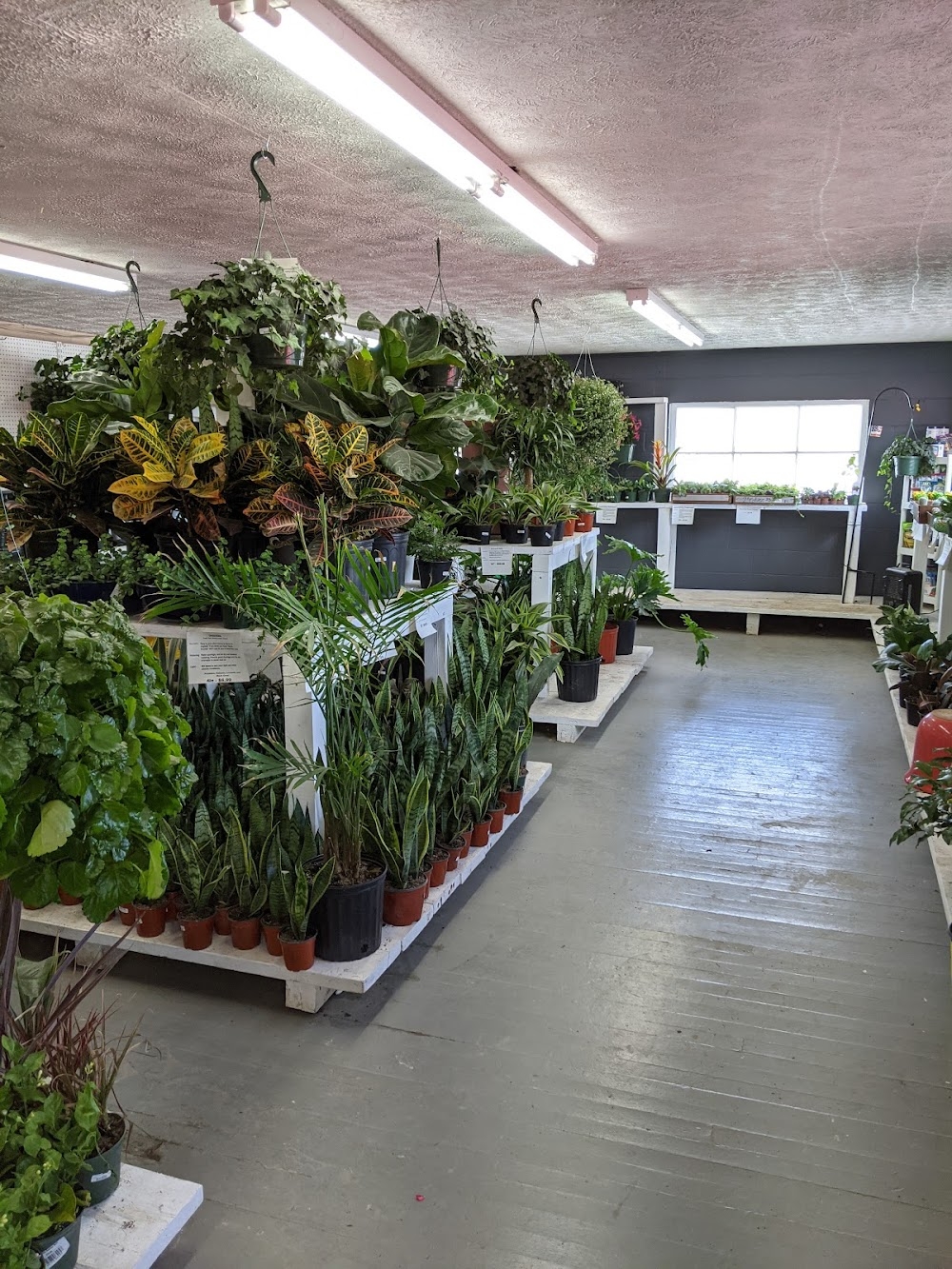Meadows Farms Nurseries And Landscape Reviews Photos Phone Number Updated August 2025 Landscaping Services In Braddock Heights Frederick County MD Wheree