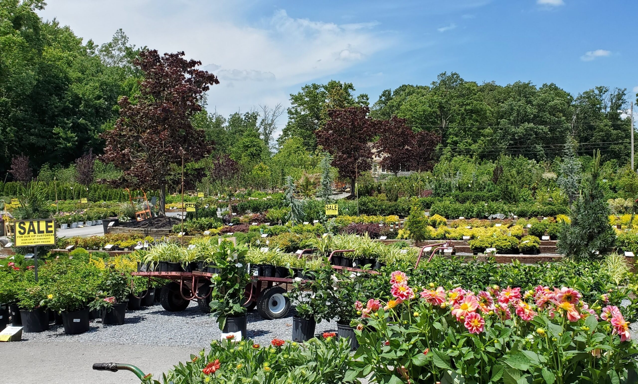 Meadows Farms Plant A Little Happiness Beyond Behnkes