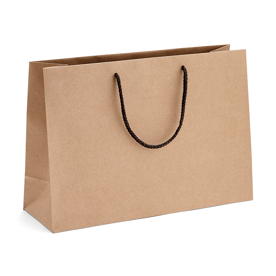 Medium Landscape Paper Bag 360x250x120mm PR Packaging