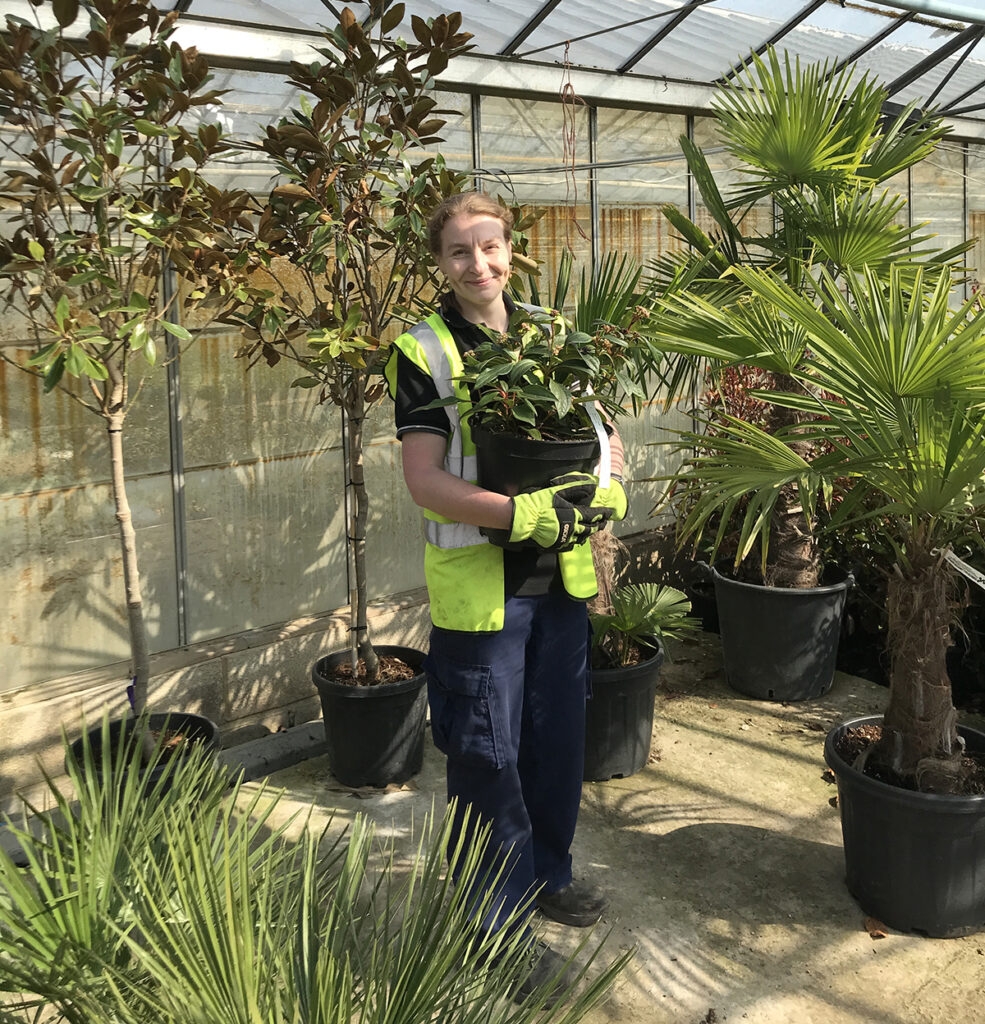 Meet Eleanor Bannister Hall Landscape Supplies