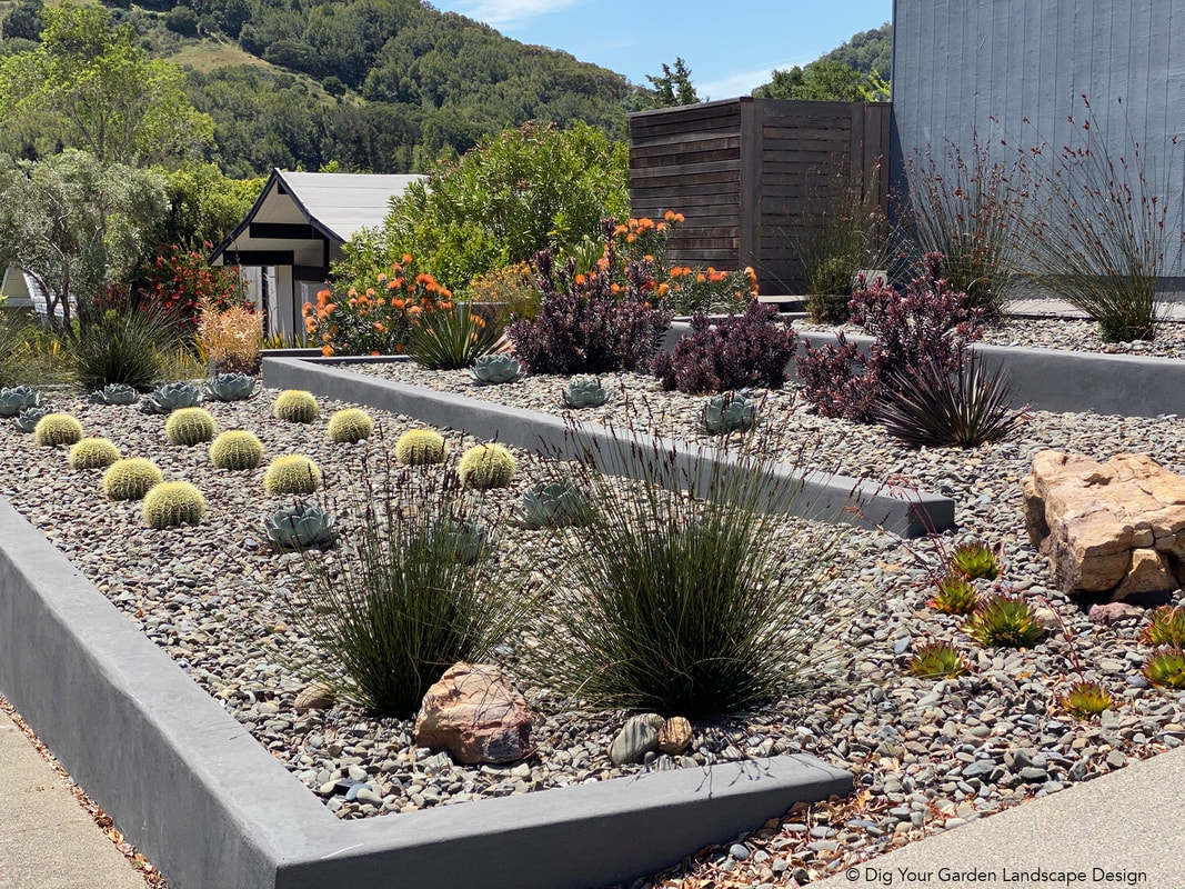 Mid Century Modern Dig Your Garden Landscape Design