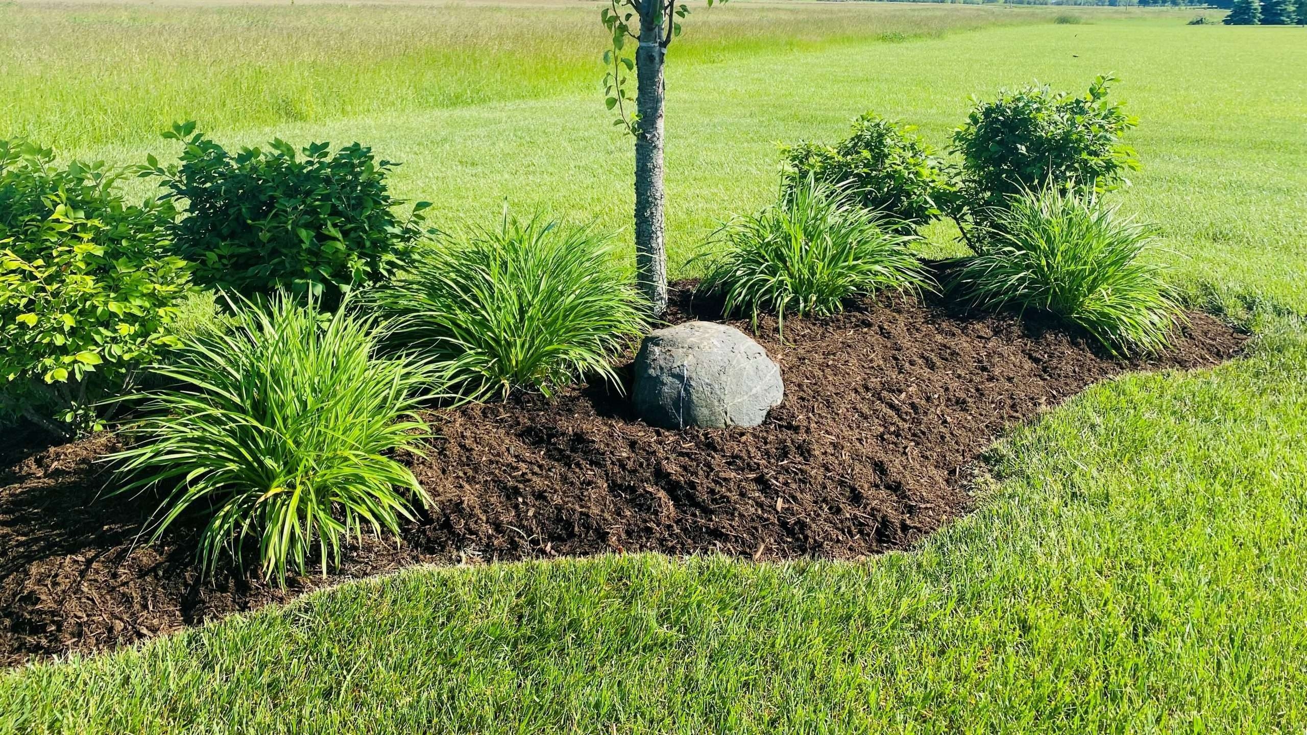 Midi Hardwood Bark Mulch Musselman Landscaping Indianapolis Mulch Delivery