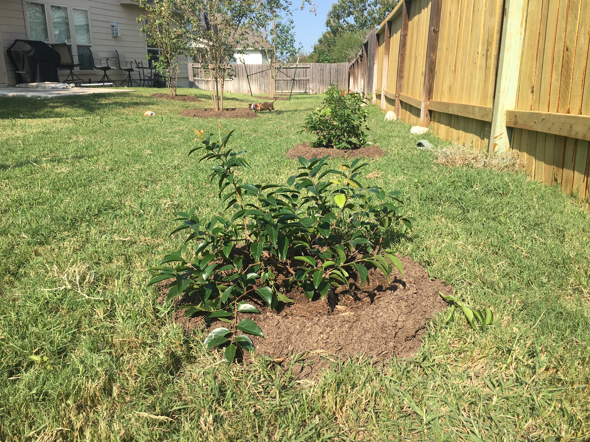 milberger's landscaping and nursery