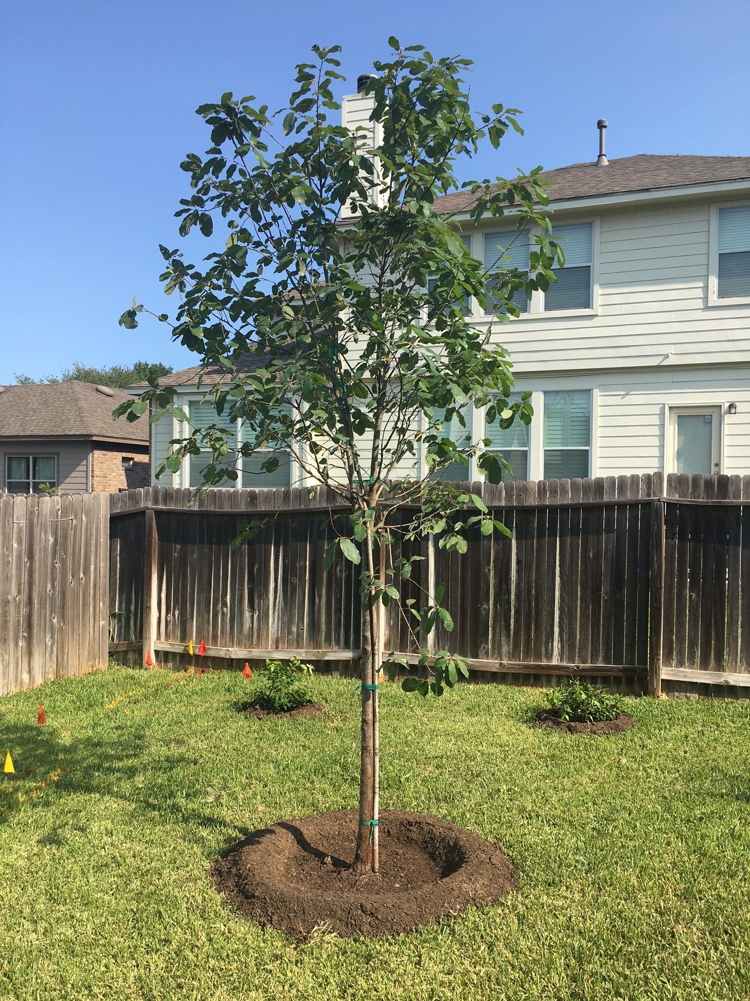 Milberger Landscape Nursery Reviews San Antonio TX Angi