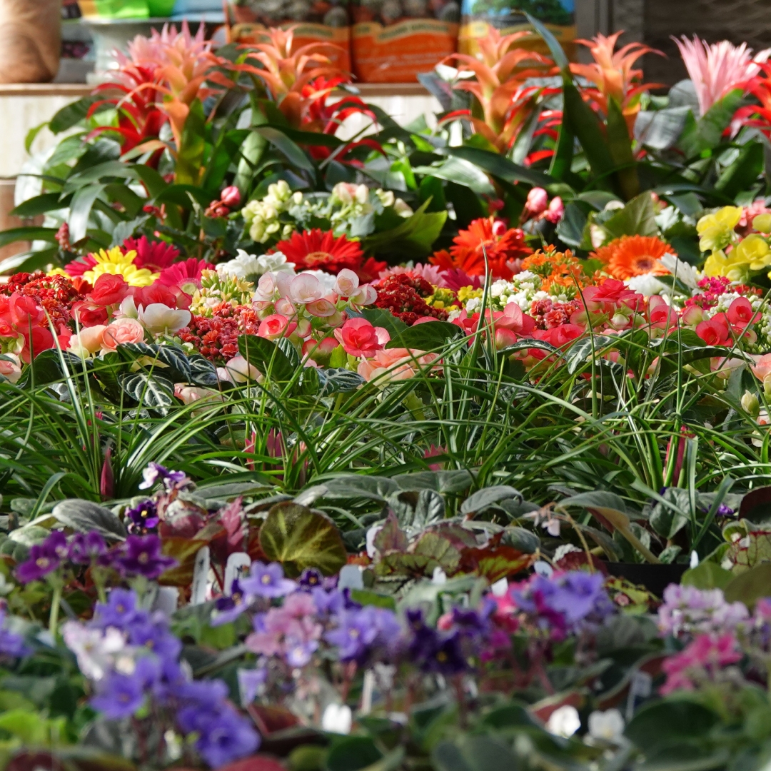 milberger landscaping san antonio tx