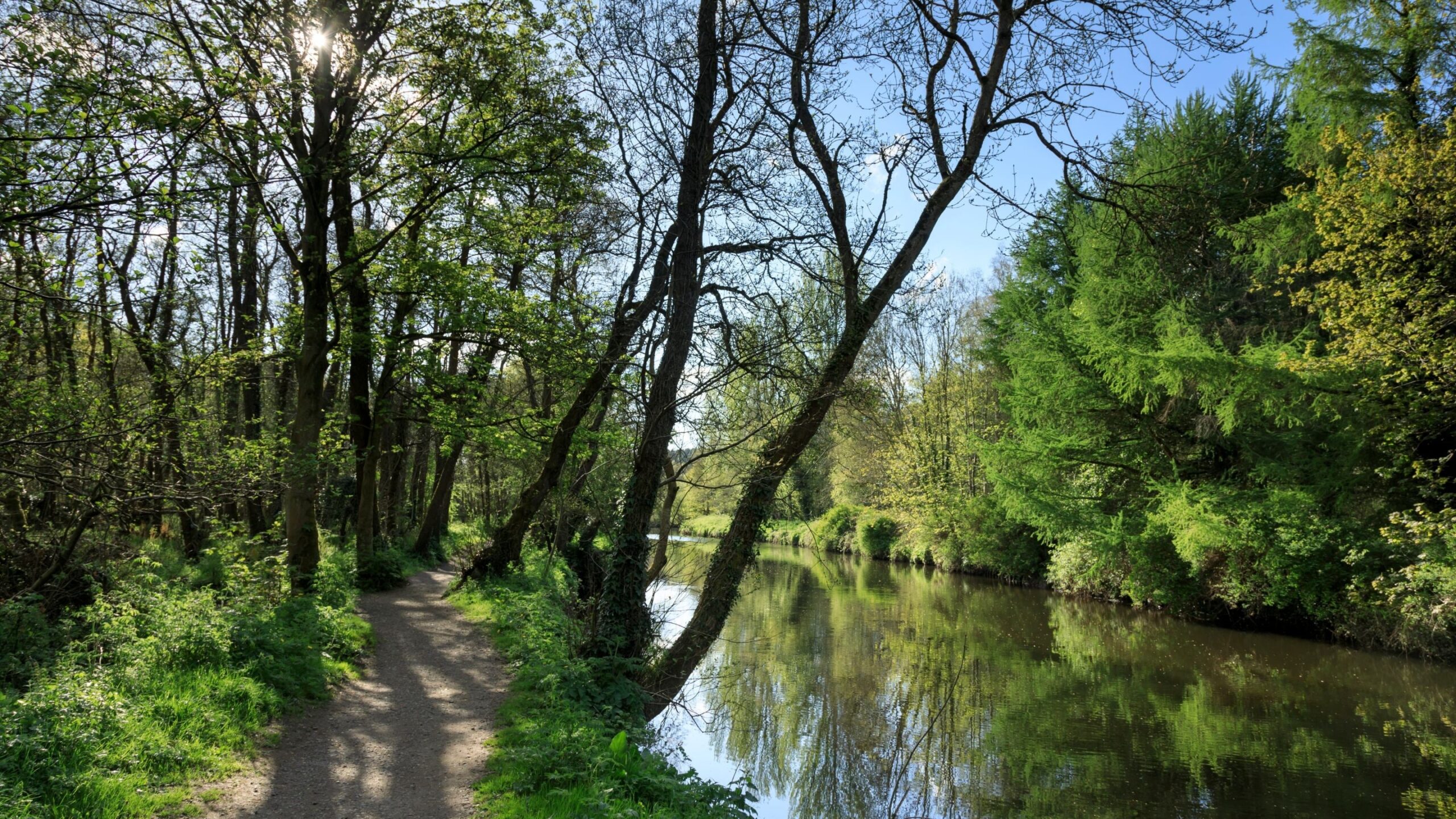 Minnowburn River Lagan Circular Walk NI National Trust