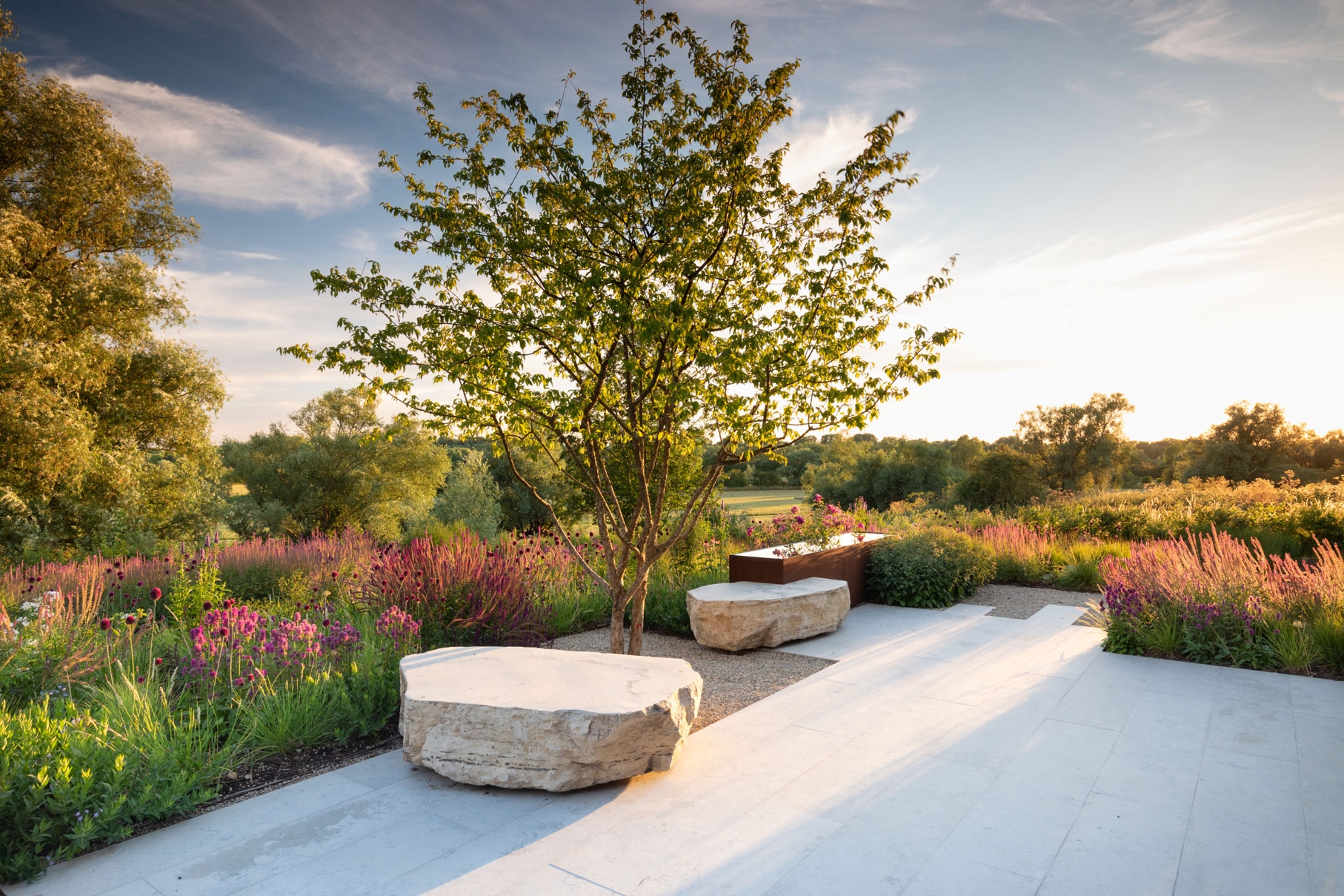Modern Garden Designer Cambridge And Suffolk Colm Joseph