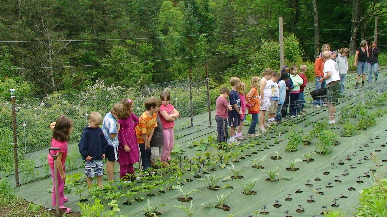 landscaping fabric in vegetable garden landscaping fabric in vegetable garden