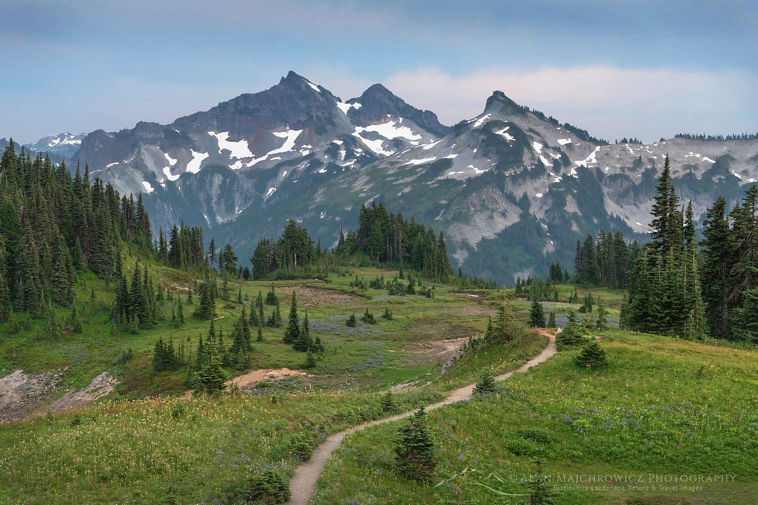 ultrawide landscape olympic national park