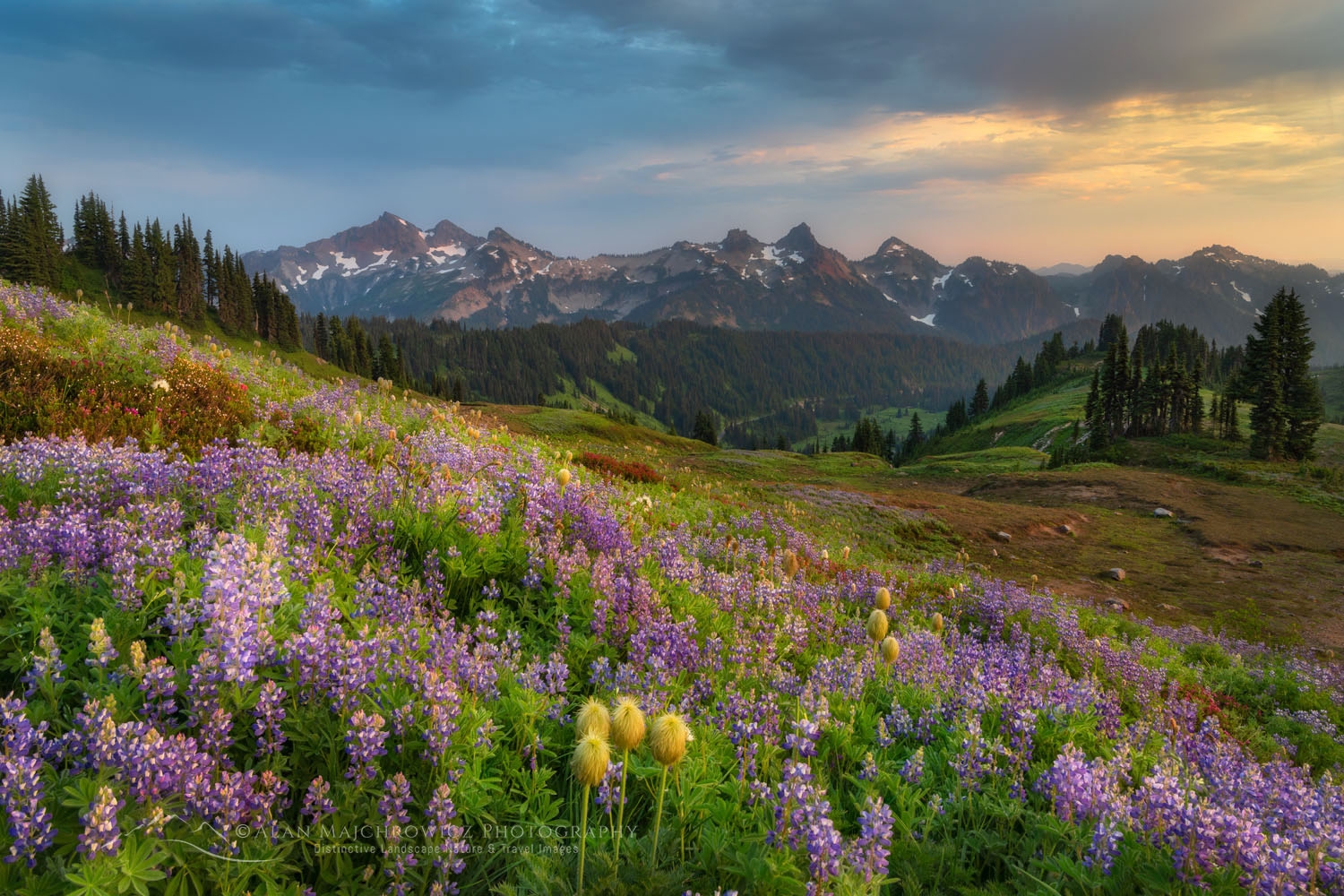 Mount Rainier National Park Archives Alan Majchrowicz Photography
