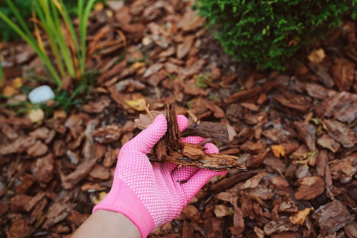 Mulch Bark Wood Chips Or Rock Crewcut Lawn Garden