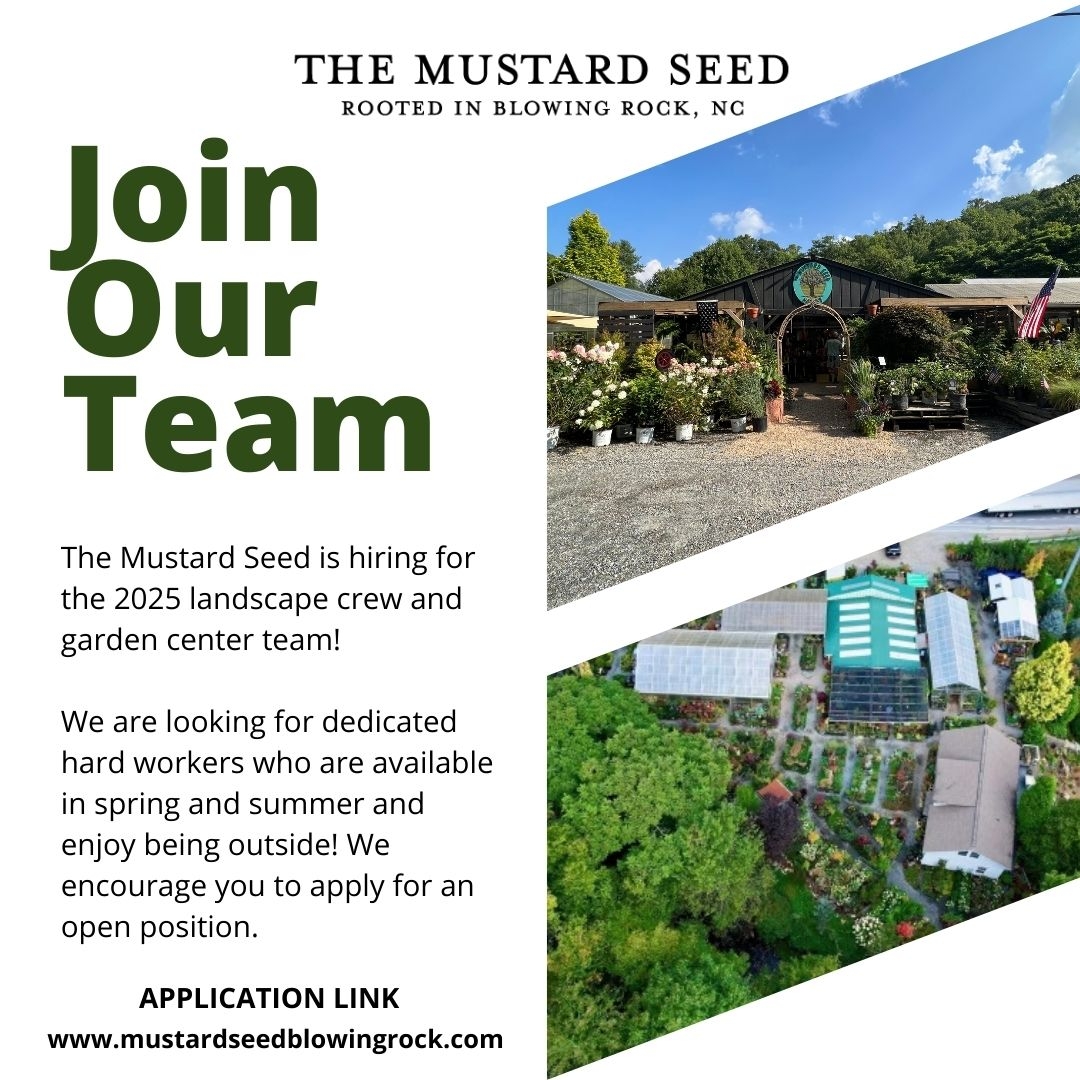 the mustard seed landscaping & garden center