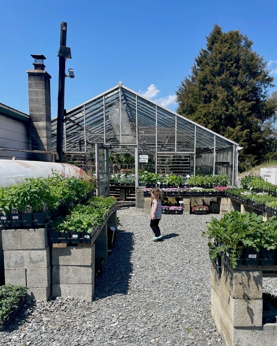My Favorite Greenhouses Plant Nurseries In York County PA Updated For 2024 Stevie Storck