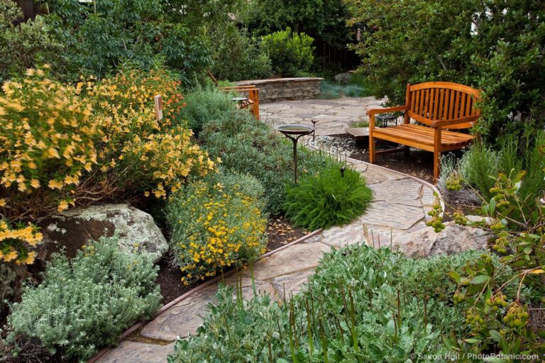 Native Planting Sustainable Design Down To Earth Landscaping