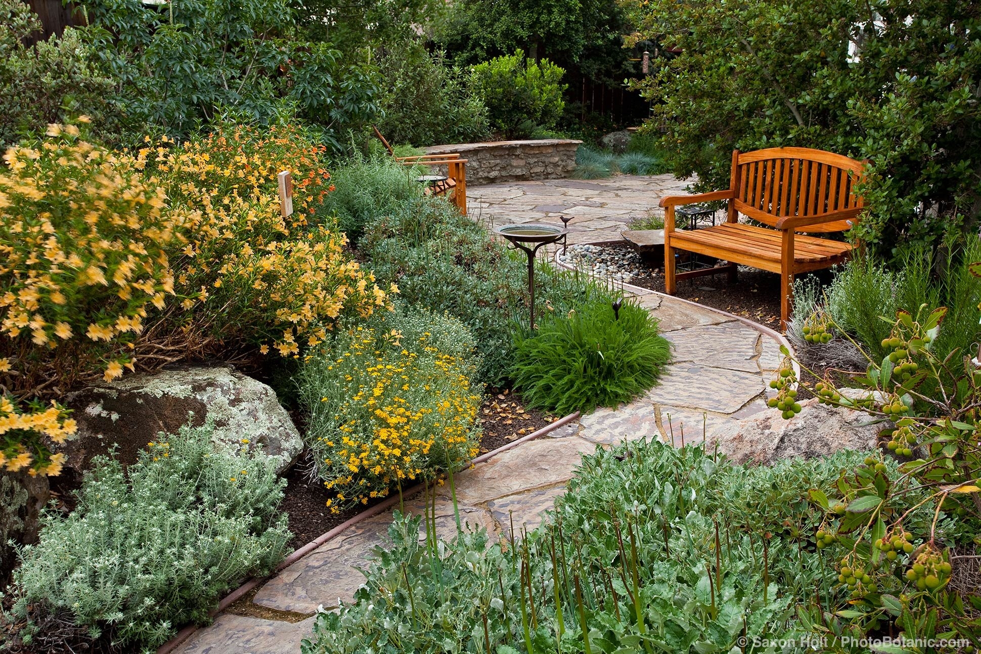Native Planting Sustainable Design Down To Earth Landscaping
