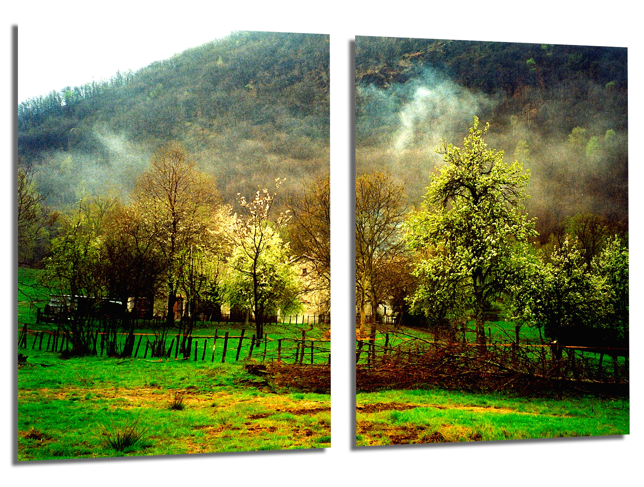 canvas two panel landscape painting