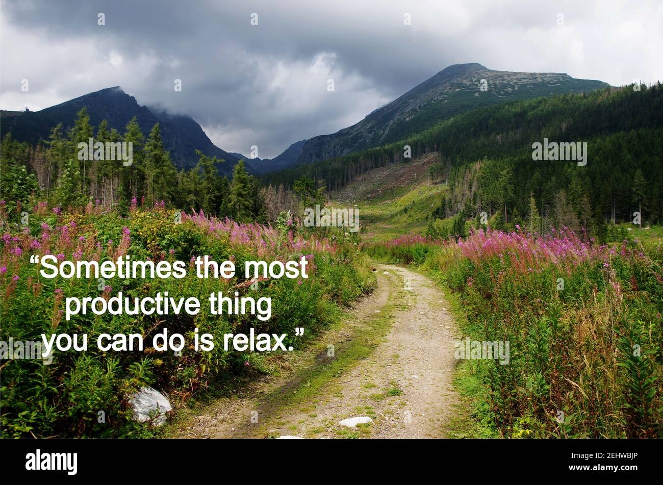 quotes with landscape