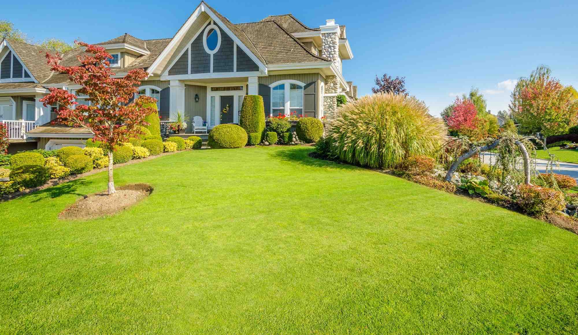 North South Surrey Lawn Mowing Lawn Care Garden Service