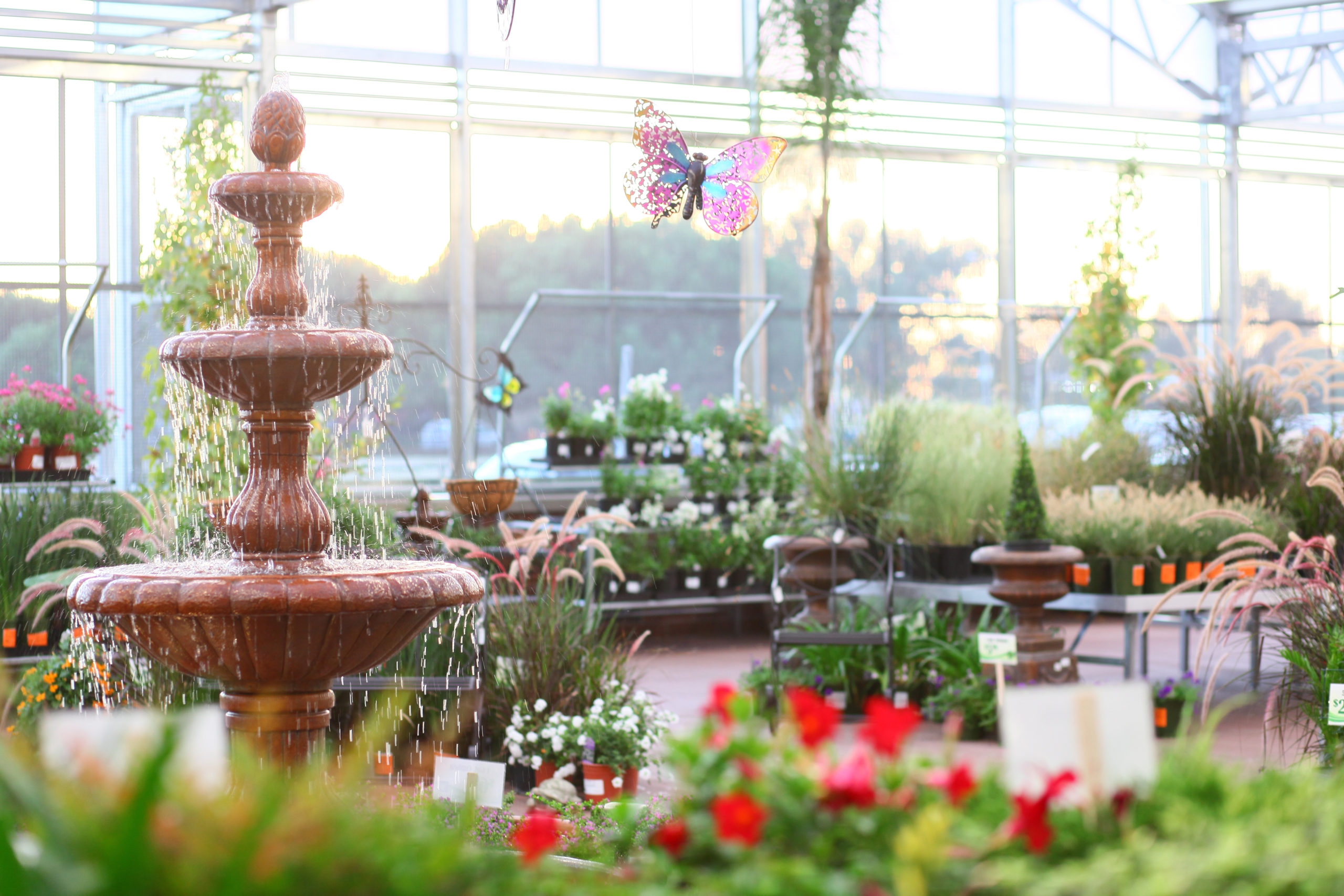 Nursery Landscape 