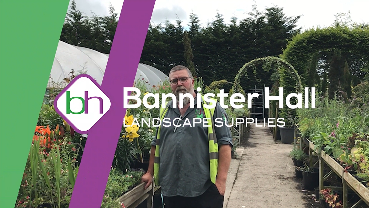 Nursery Plants Archives Bannister Hall Landscape Supplies