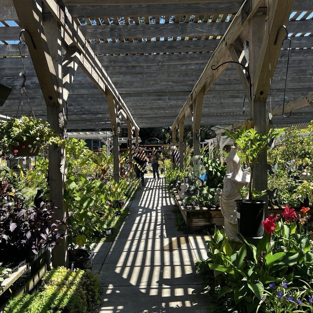 Nursery Sacramento CA Last Updated August 2025 Yelp