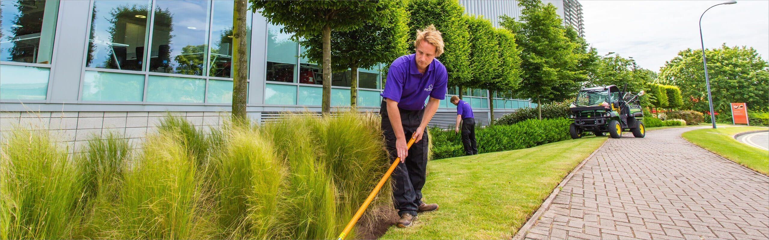 Nurture Landscapes
