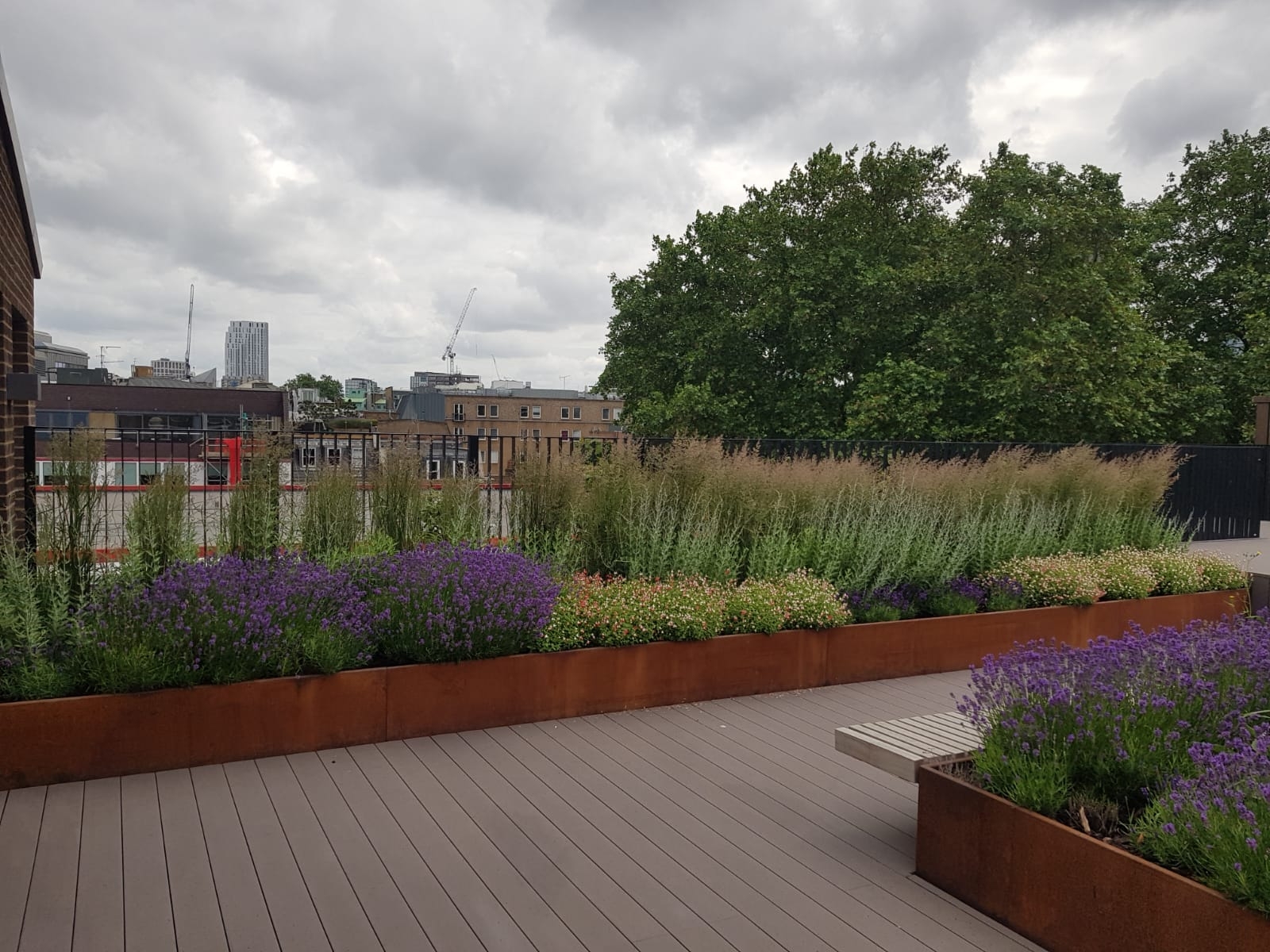 Office Landscaping In London Plants By Design