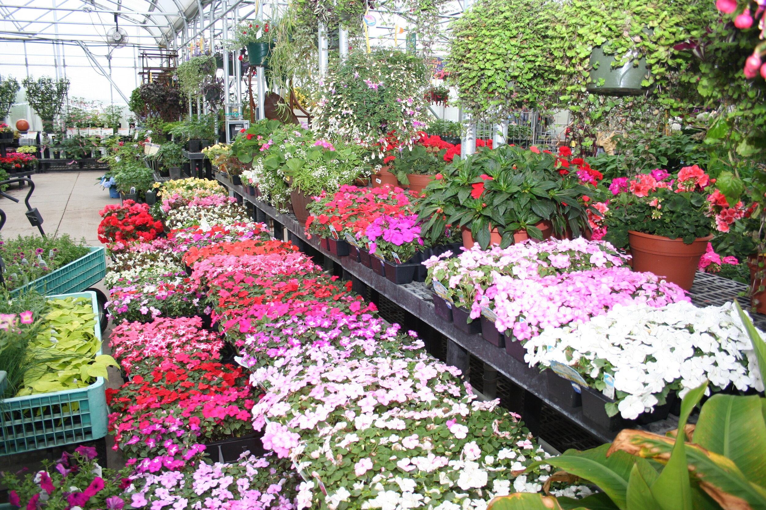 Online Store The Mustard Seed Landscape And Garden Center