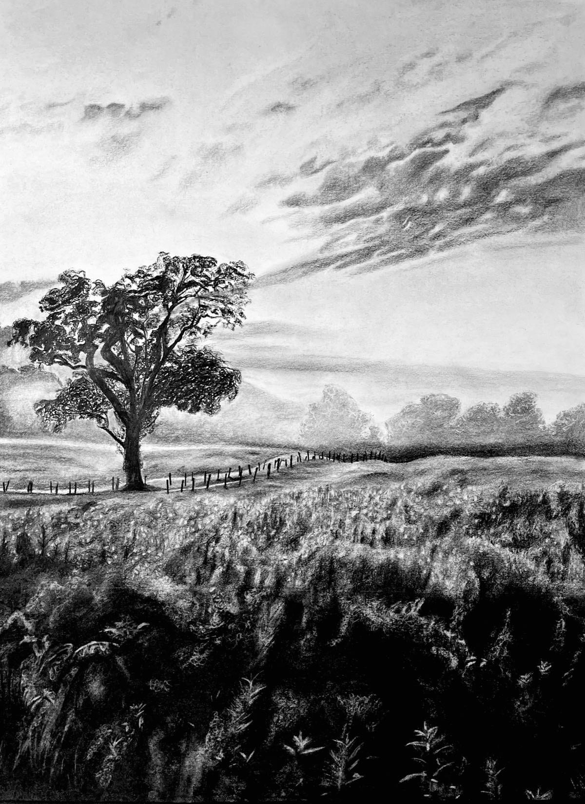 Original Landscape Charcoal Drawing 18x24in Wall Artwall Art Etsy