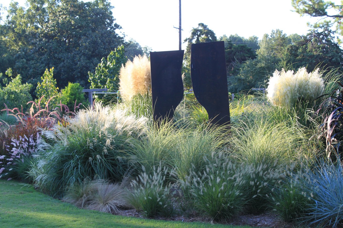 landscaping grass plants