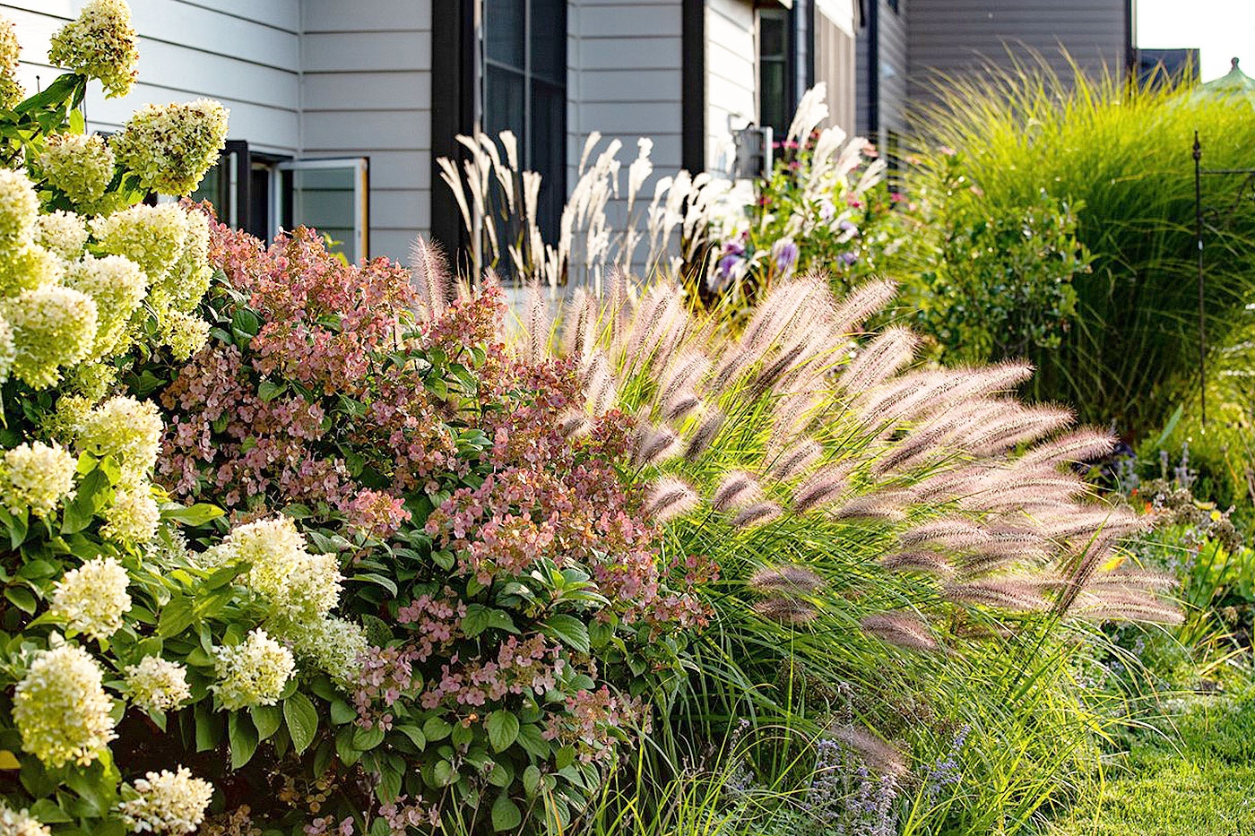 Ornamental Grasses For Missouri Landscapes Ornamental Grasses Are Considered By Most Gardens To Be Ideal Landscape Plants They Are Quite Vigorous Require Minimal Care And Add Aesthetic Virtue In Terms Of