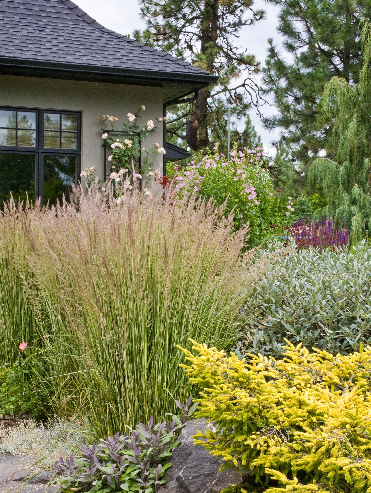 grassy plants for landscaping