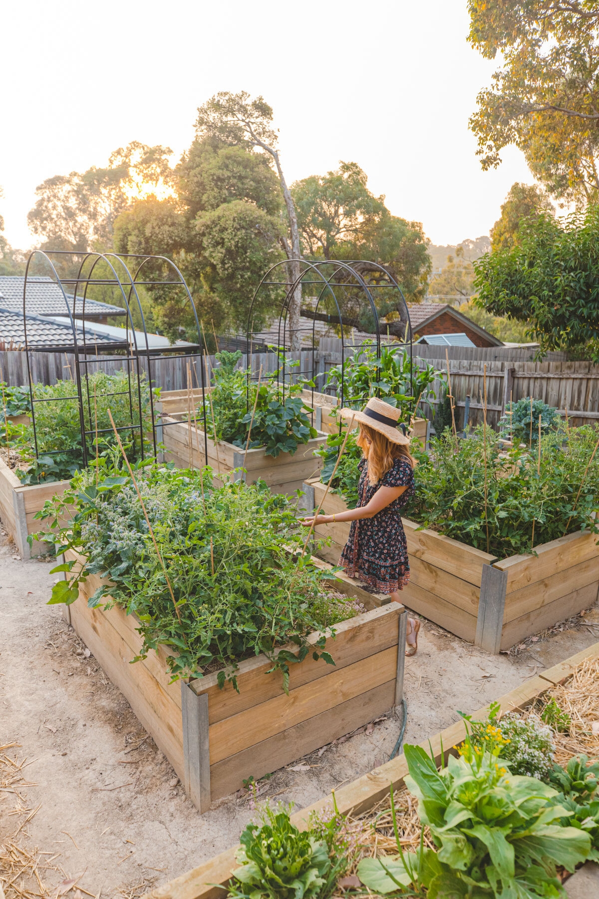 Our Dream Permaculture Vegetable Garden Before And After CONNIE CAO Our Dream Permaculture Vegetable Garden Before And After CONNIE CAO