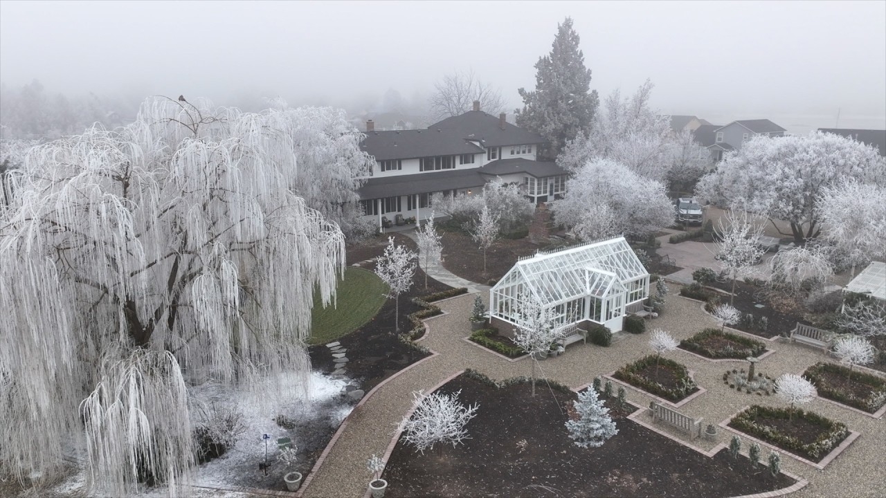 Our Frosty Winter Landscape Enjoy Garden Answer YouTube