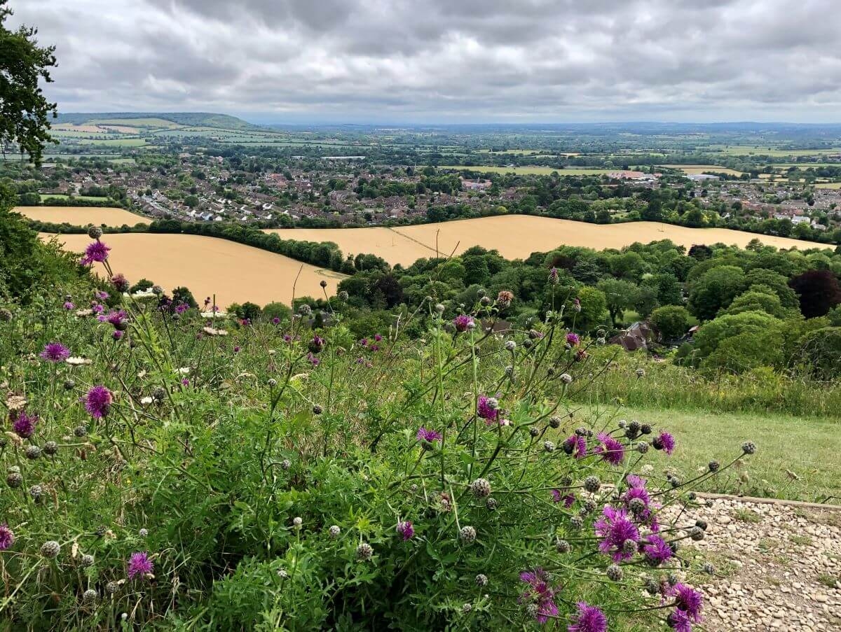 Our Landscape Chilterns National Landscape